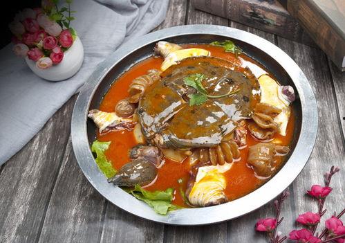 麻辣甲鱼爆料视频教程完整版,一招解锁正宗川菜风味