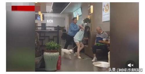 西安食堂爆料事件始末视频,真相与反思的交织